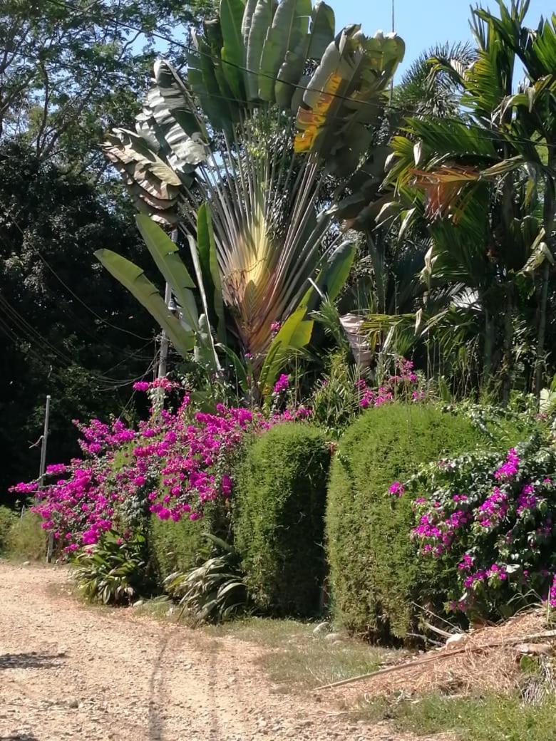 أوفيتا Casa Chanteclair المظهر الخارجي الصورة